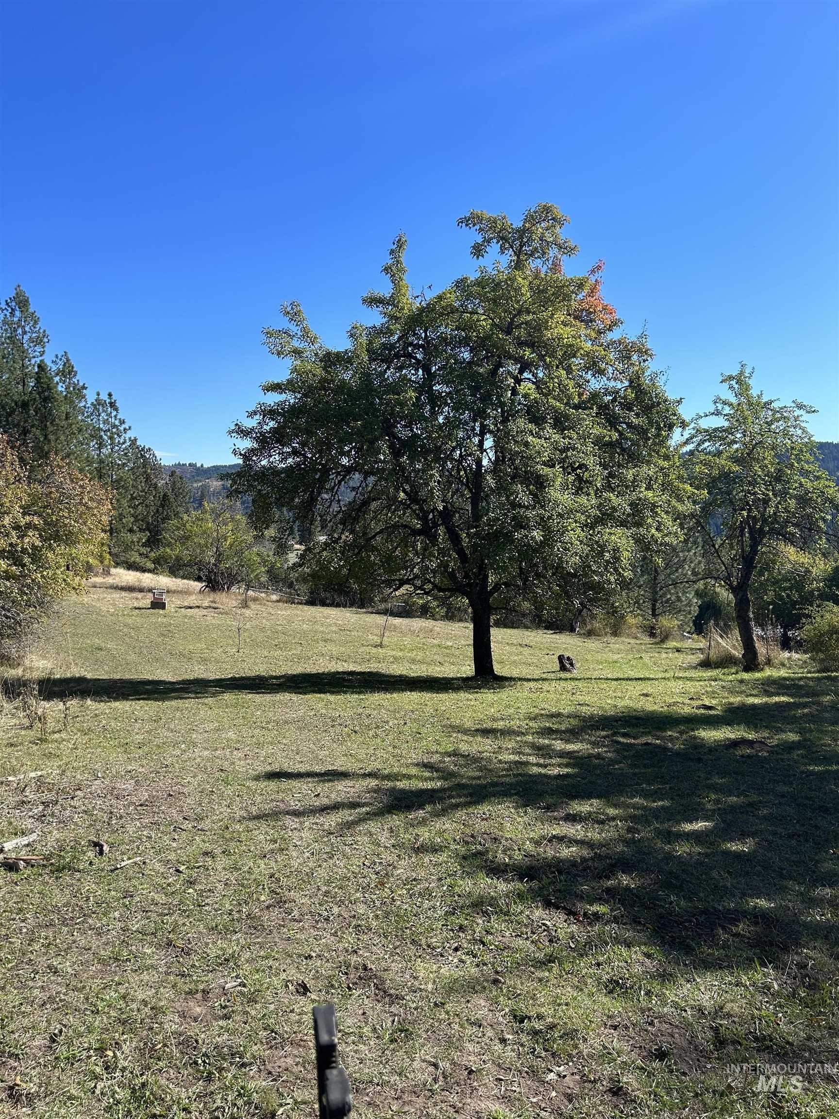 Tbd Harmony Hts Loop Orofino, ID 83544 - Photo 7 of 16 View of grassy yard