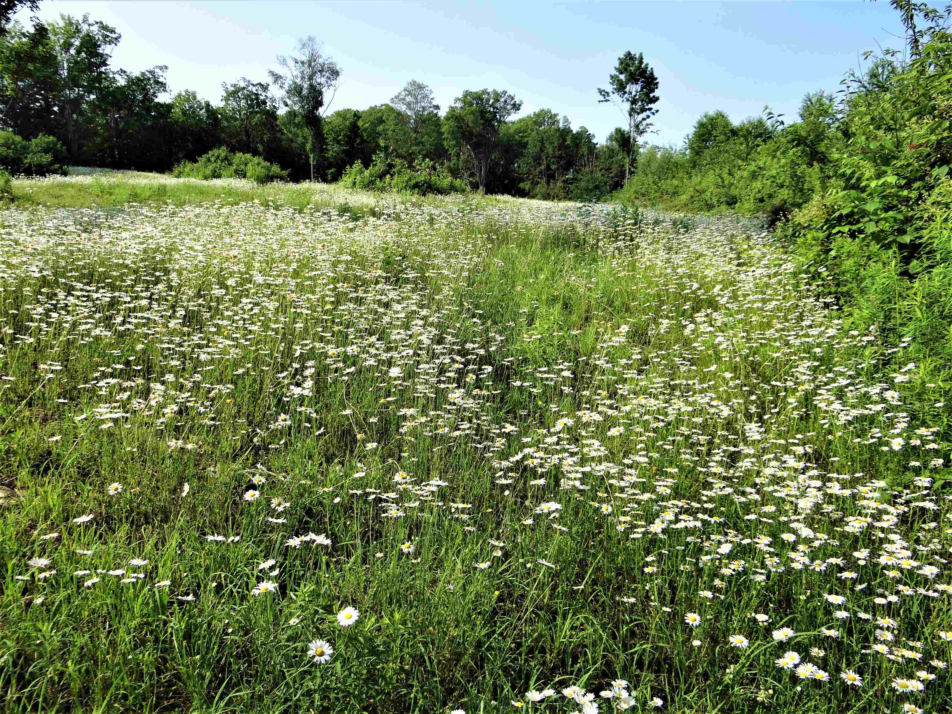 278 Spring Road Tunbridge, VT 05077 - Photo 30 of 34