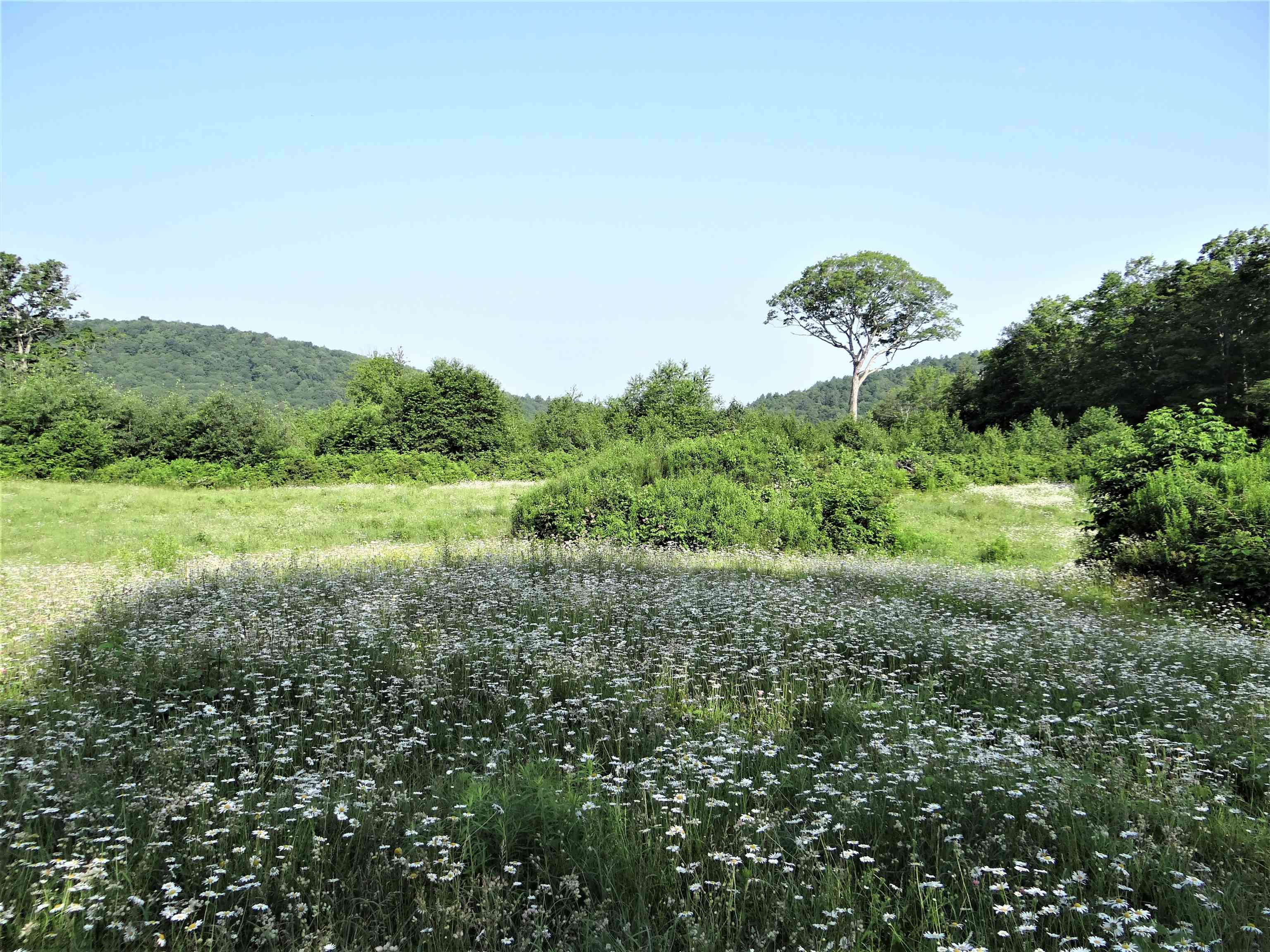 278 Spring Road Tunbridge, VT 05077 - Photo 31 of 34