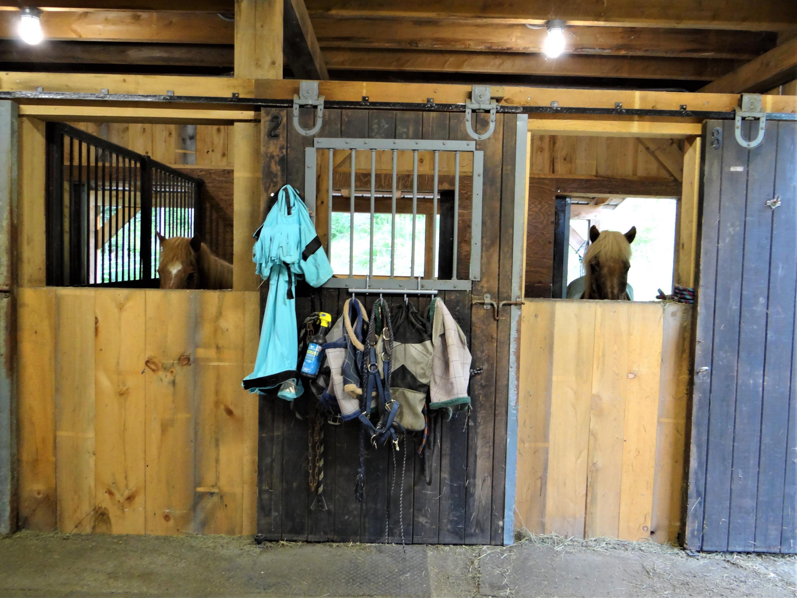 278 Spring Road Tunbridge, VT 05077 - Photo 6 of 34