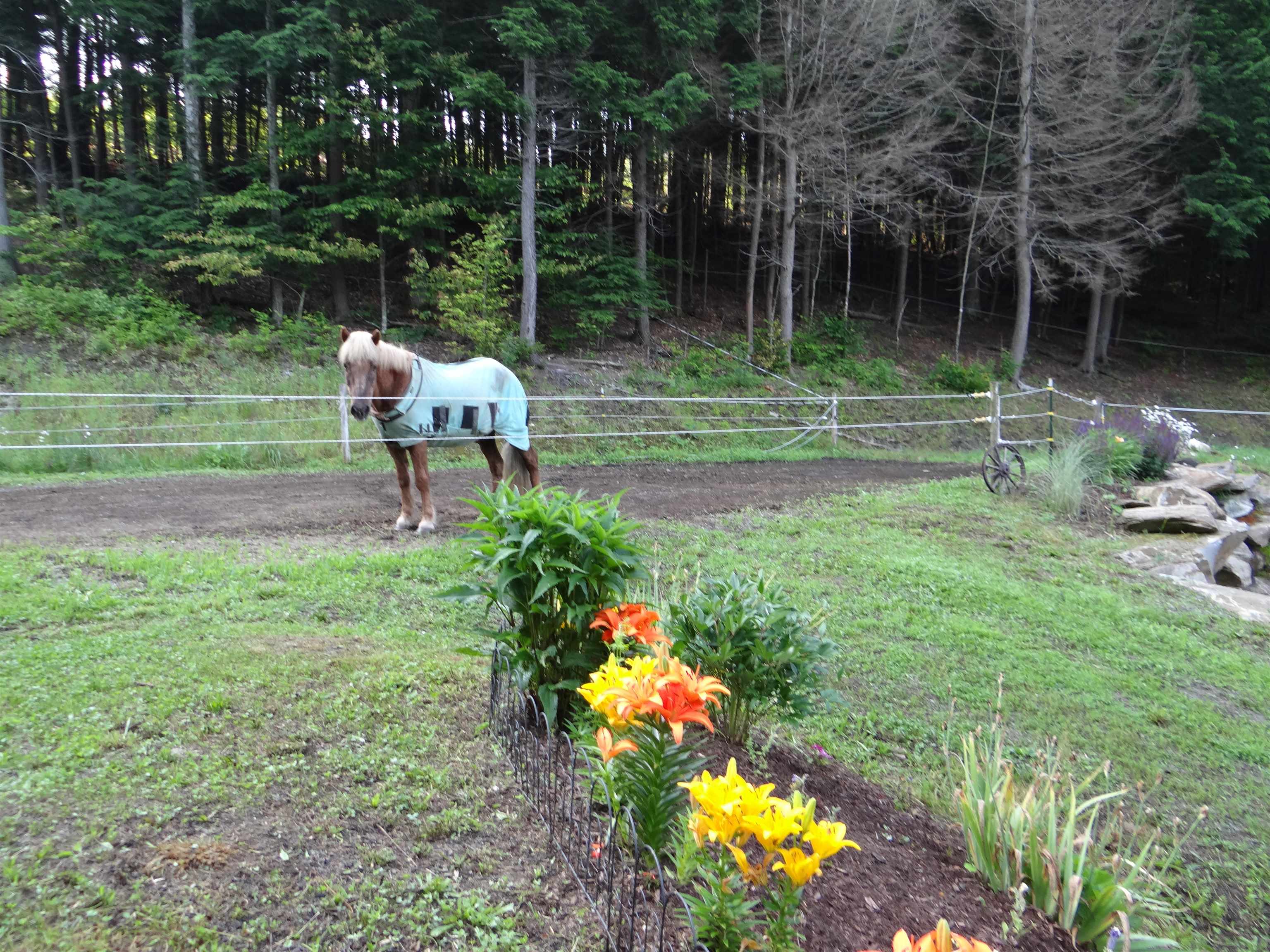 278 Spring Road Tunbridge, VT 05077 - Photo 8 of 34