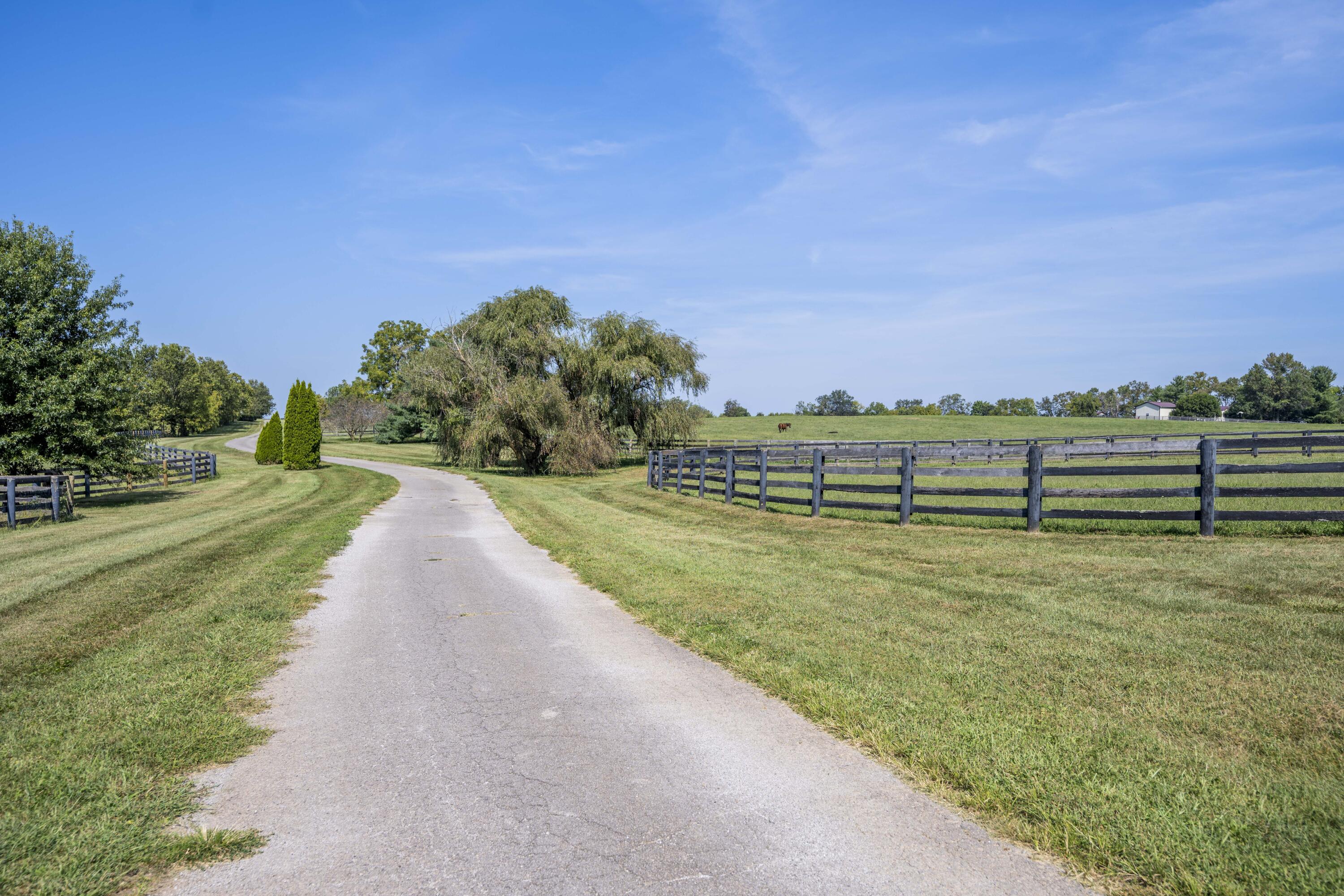 307 Stone Road Georgetown, KY 40324 - Photo 19 of 115 20240827-307-Stone-Rd-tem-068