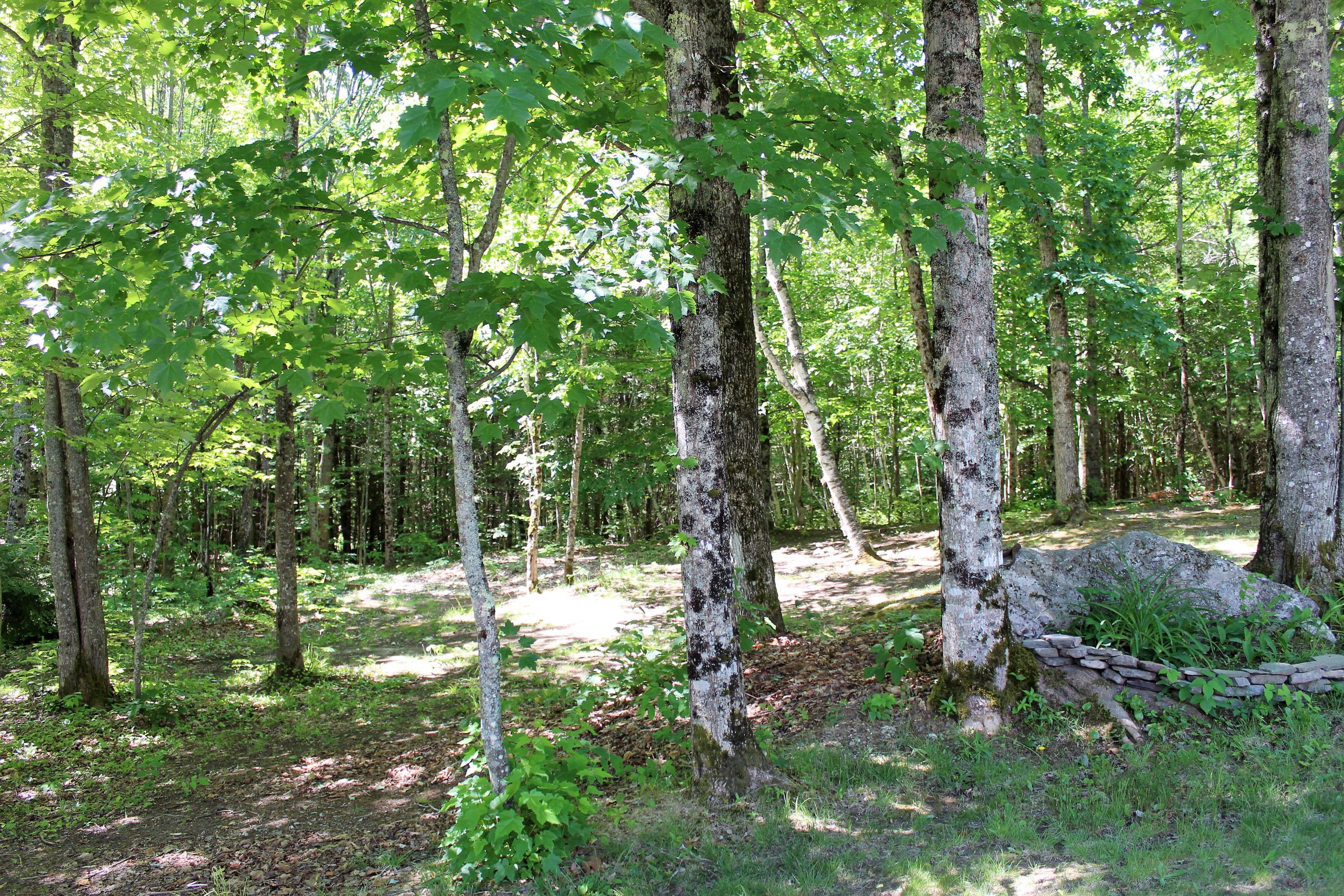 28 Shady Nook Road West Newfield, ME 04095 - Photo 32 of 33 32 Beautiful wooded property