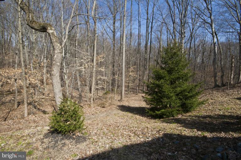 3433 Clayton Road Joppa, MD 21085 - Photo 15 of 28 View