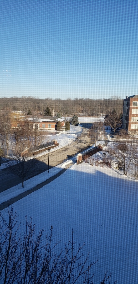 511 Prestwick Lane, Unit 501 Wheeling, IL 60090 - Photo 19 of 21 a view of a lake from a balcony