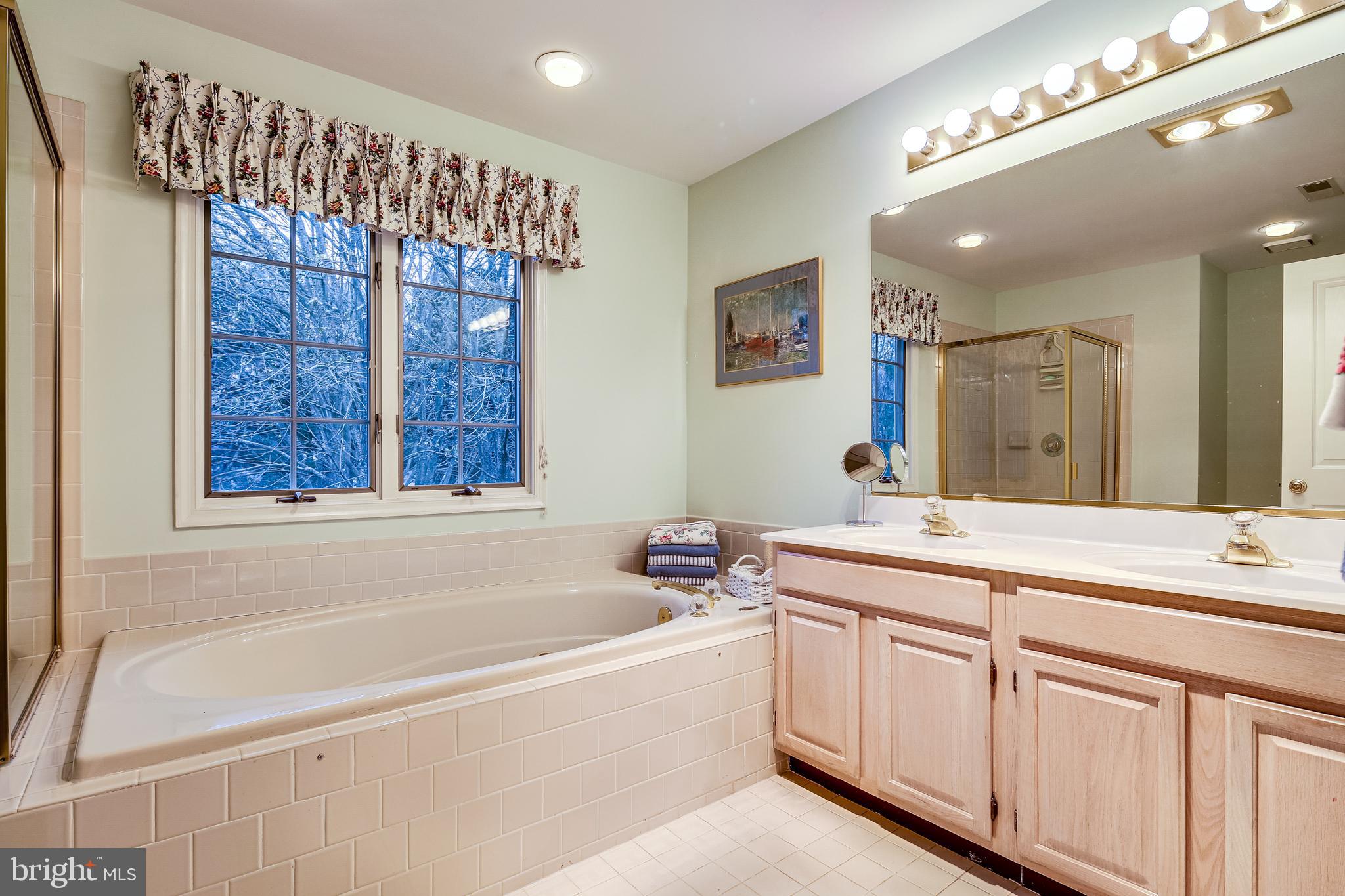 10396 Derby Drive Laurel, MD 20723 - Photo 20 of 41 Primary bath, double vanity, whirlpool tub.