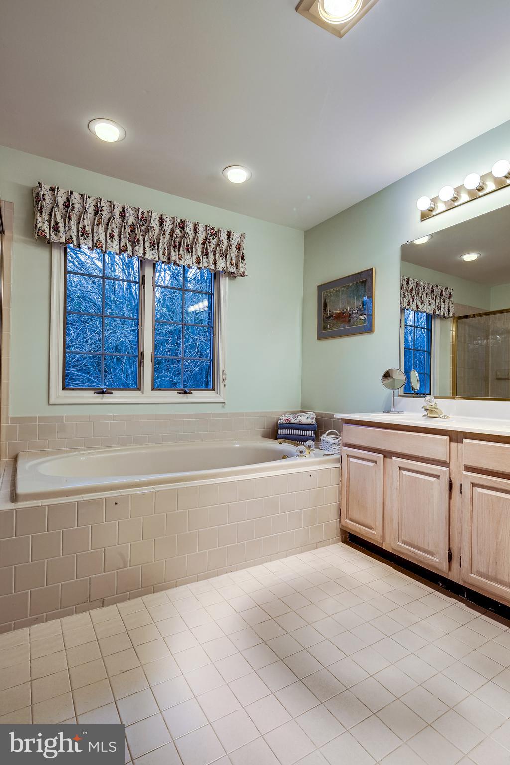 10396 Derby Drive Laurel, MD 20723 - Photo 21 of 41 Primary bath, double vanity, whirlpool tub.