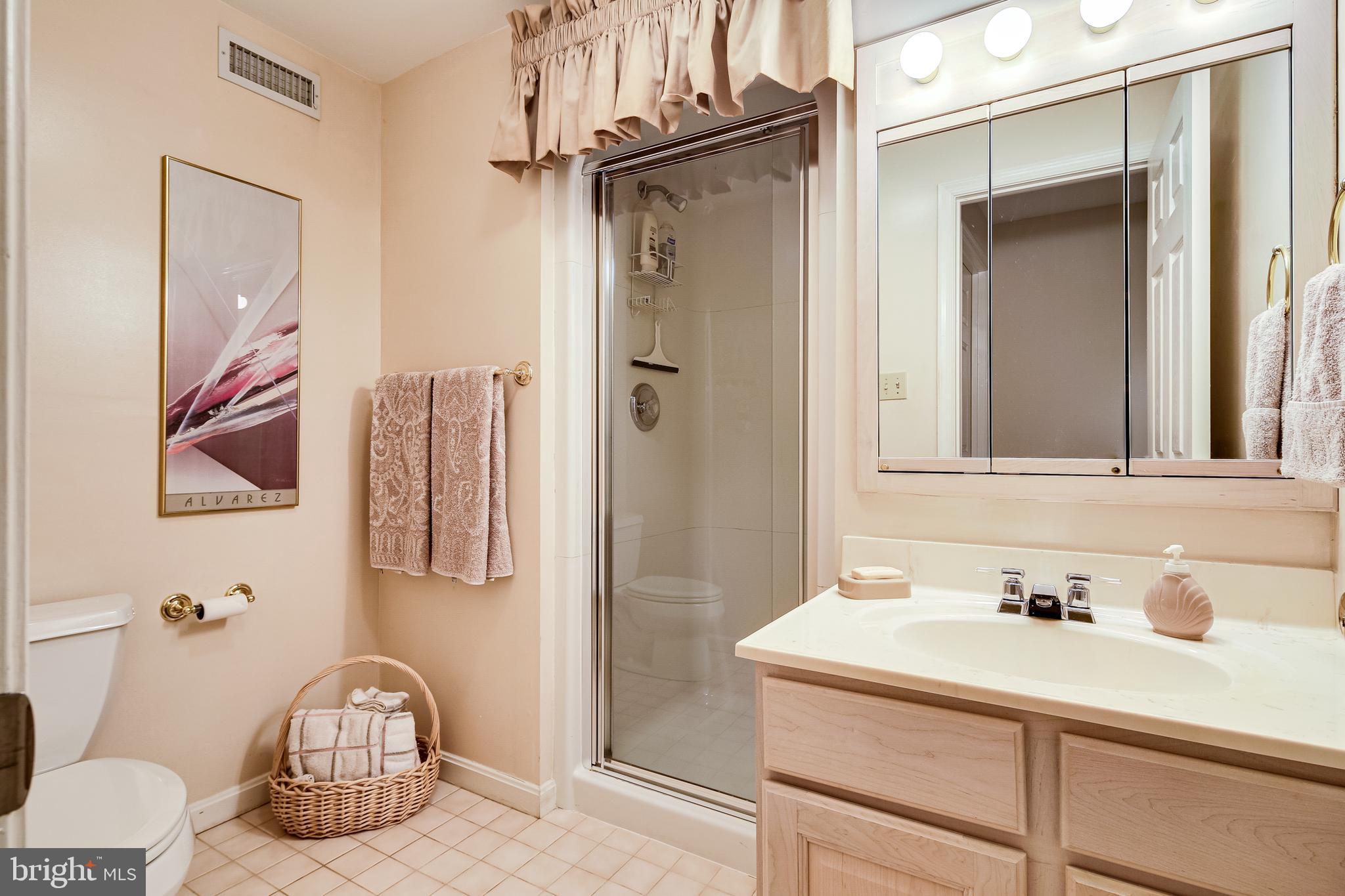 10396 Derby Drive Laurel, MD 20723 - Photo 35 of 41 Full bathroom, basement.