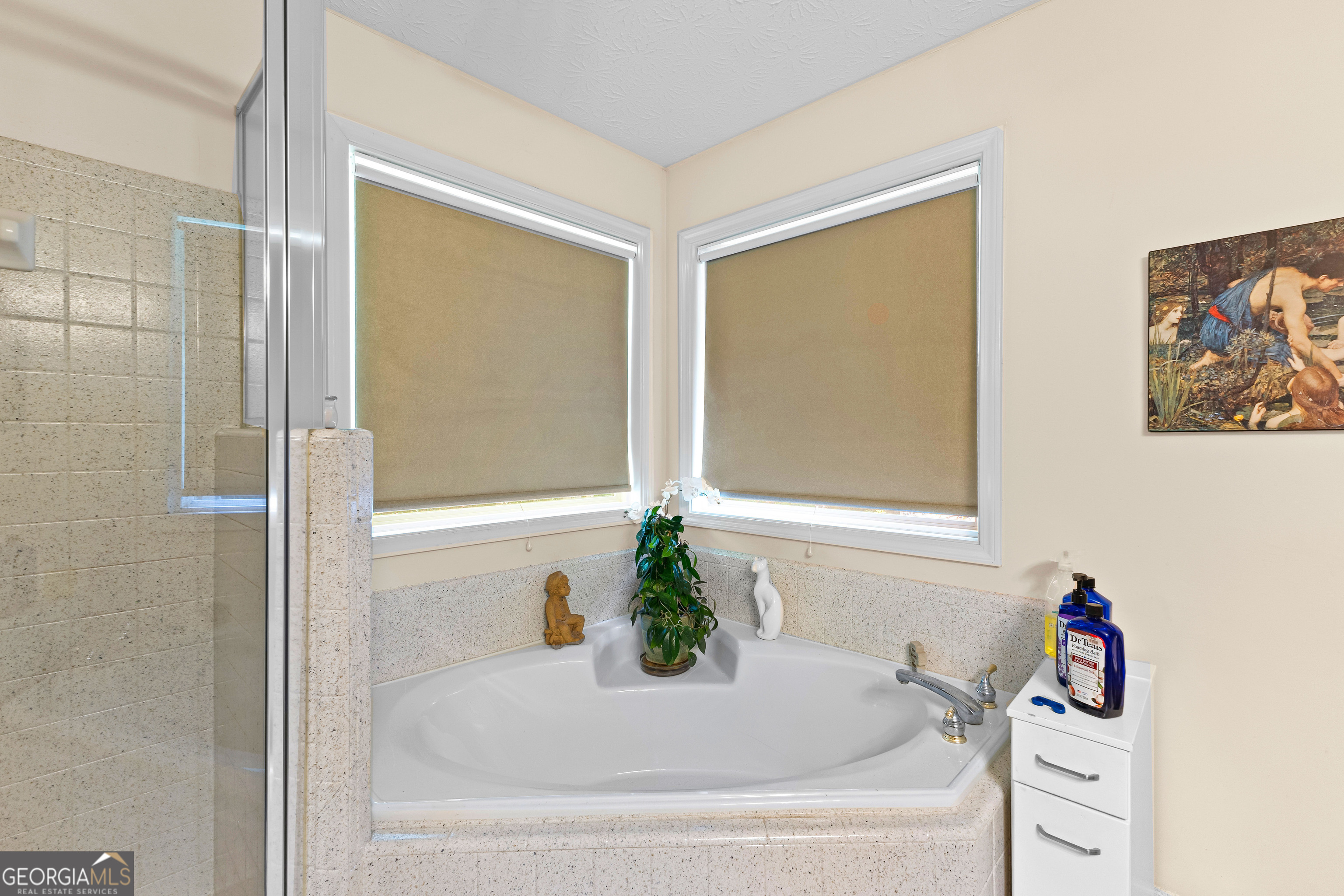 65 Pointe View Court Jackson, GA 30233 - Photo 19 of 39 a bathroom with a bathtub and a shower