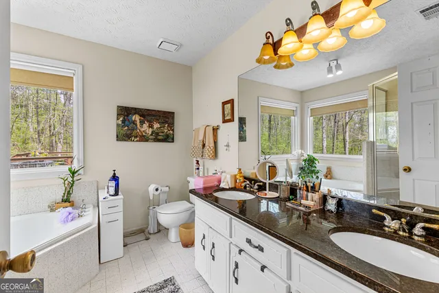 a bathroom with a double vanity sink mirror and toilet