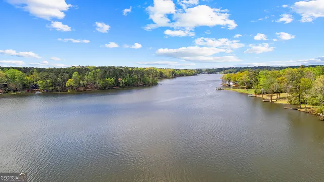 a view of a lake with a city