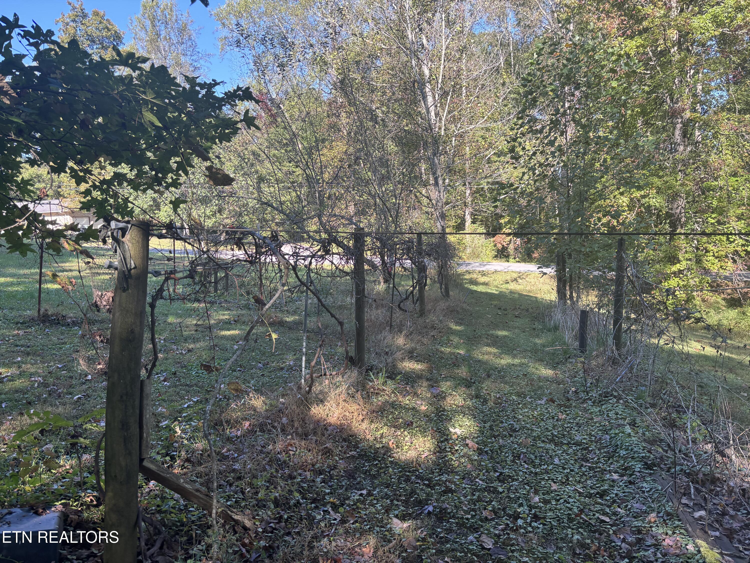 530 Pine Creek Road Oneida, TN 37841 - Photo 23 of 24 IMG_4020