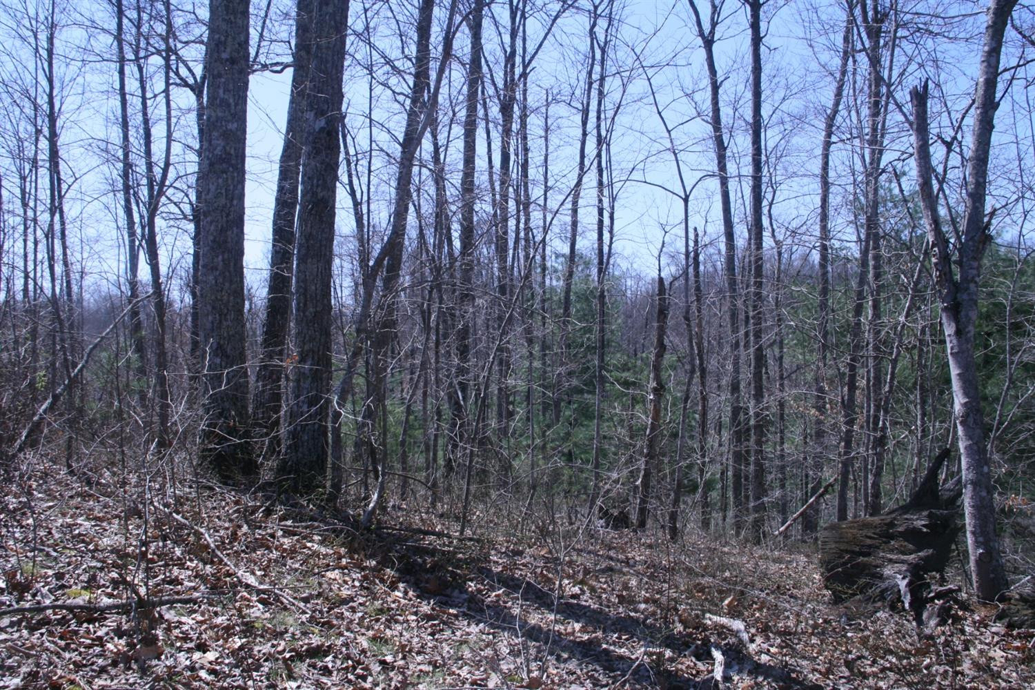 956 Kelse Holland Road Campton, KY 41301 - Photo 40 of 69 Photo 66