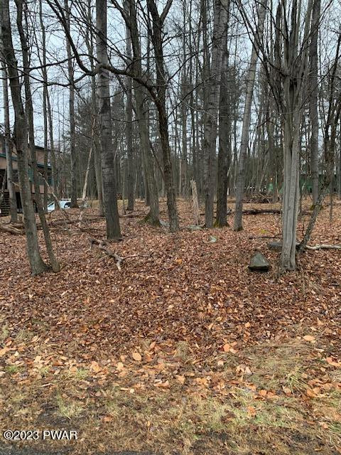 86 Deerfield Road Lake Ariel, PA 18436 - Photo 4 of 16