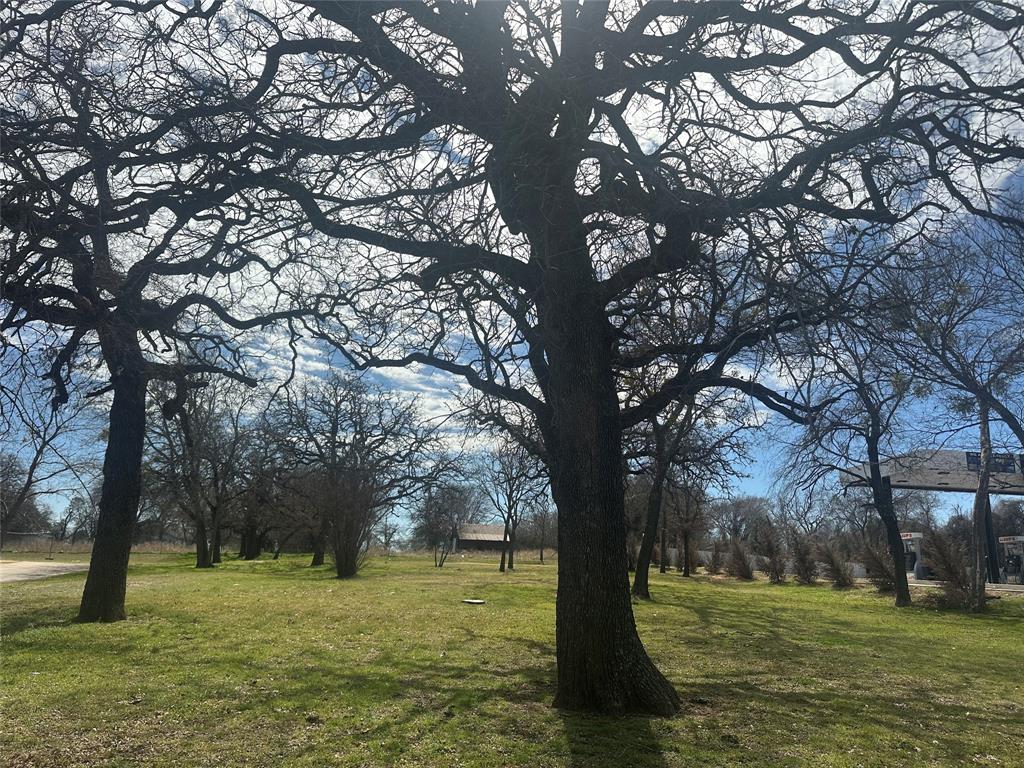601 West Highway 199 Springtown, TX 76082 - Photo 7 of 10 a view of a tree in a yard