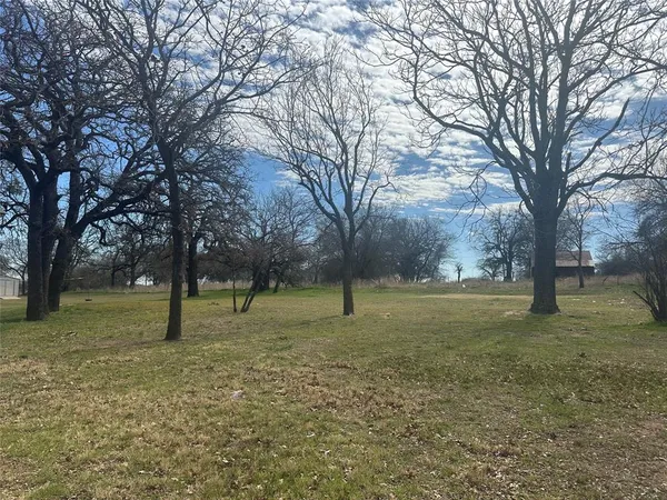 a view of a tree in a yard