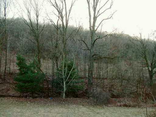 1179 Burgettstown Road Hickory, PA 15340 - Photo 4 of 4 Other.