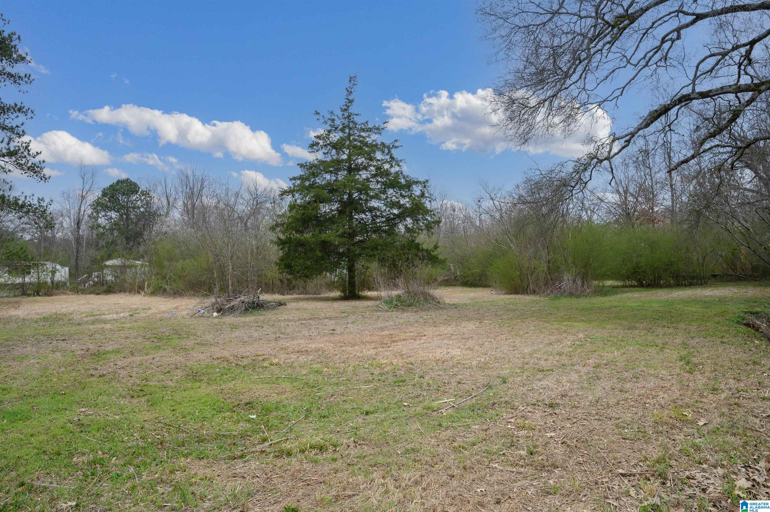 767 Hillcrest Road Sylacauga, AL 35150 - Photo 10 of 12