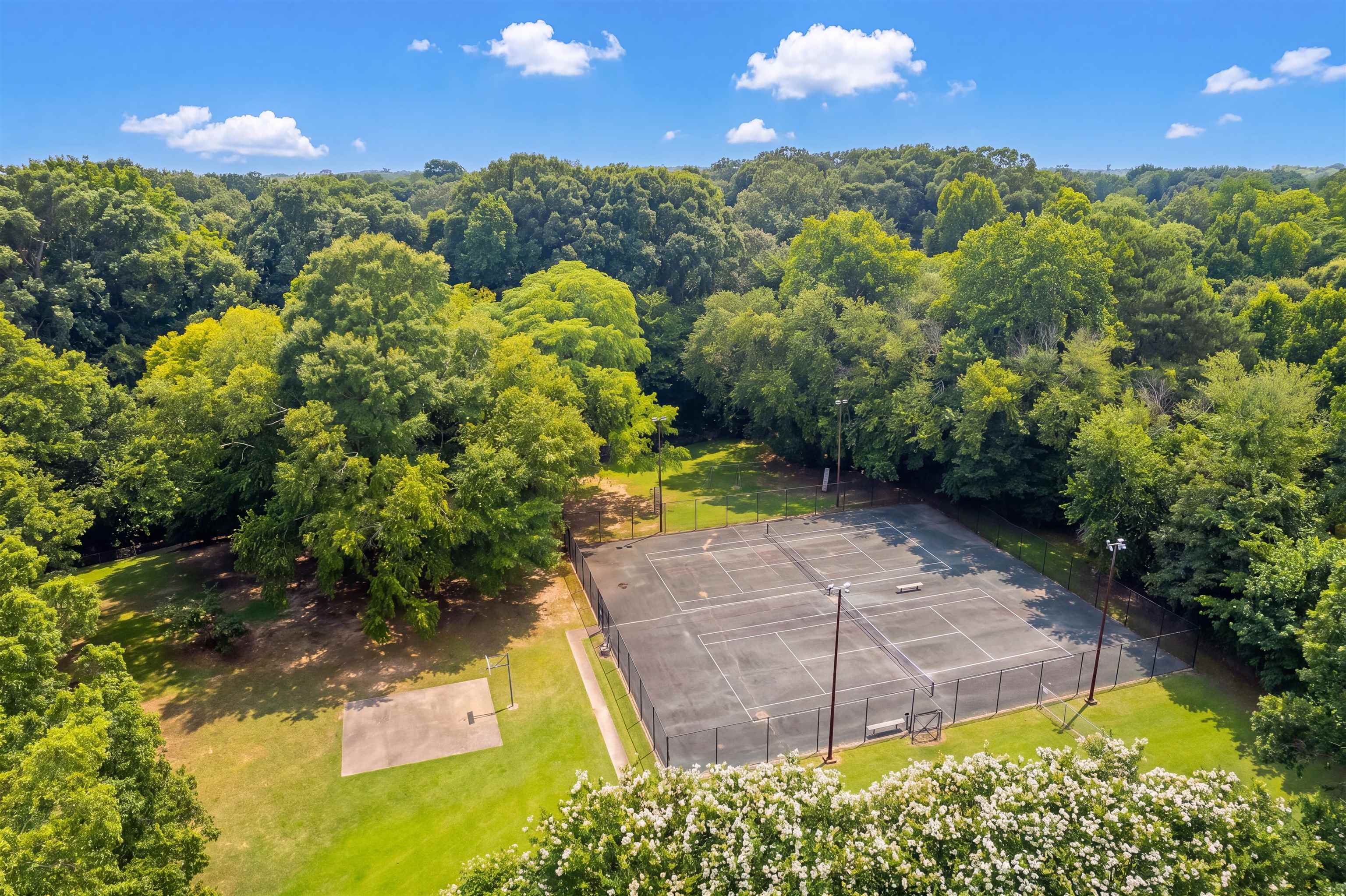 6943 Fords Station Road, Unit 64 Germantown, TN 38138 - Photo 16 of 30 Fenced tennis court with overhead lighting and a surrounding natural treeline