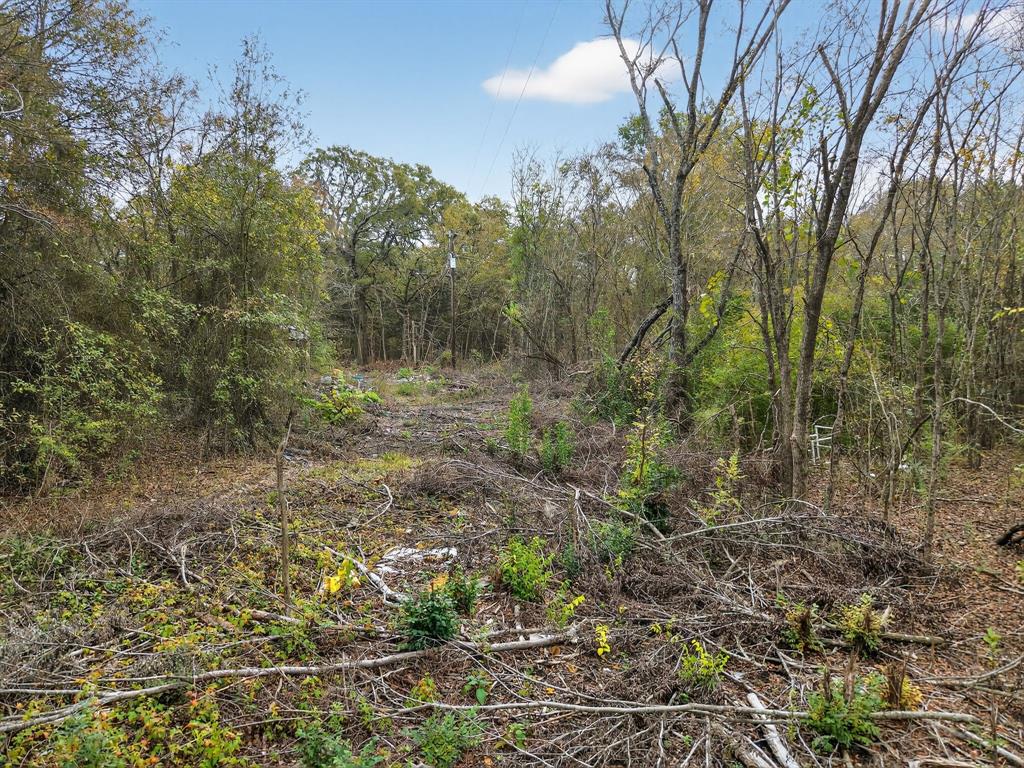0 Co Road Kaufman, TX 75142 - Photo 7 of 10 a view of a yard with large trees