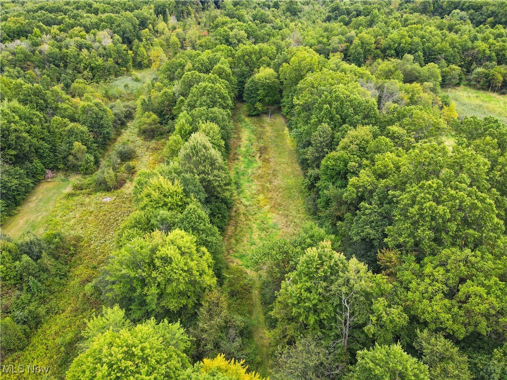 667 North Road Southeast Warren, OH 44484 - Photo 48 of 50 Aerial view