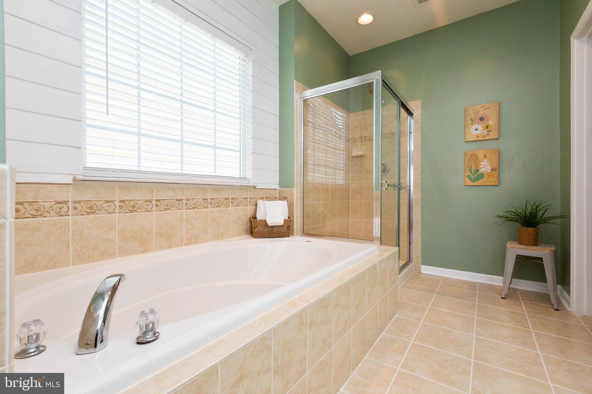 12308 Cypress Spring Road Clarksburg, MD 20871 - Photo 26 of 46 Master Bath