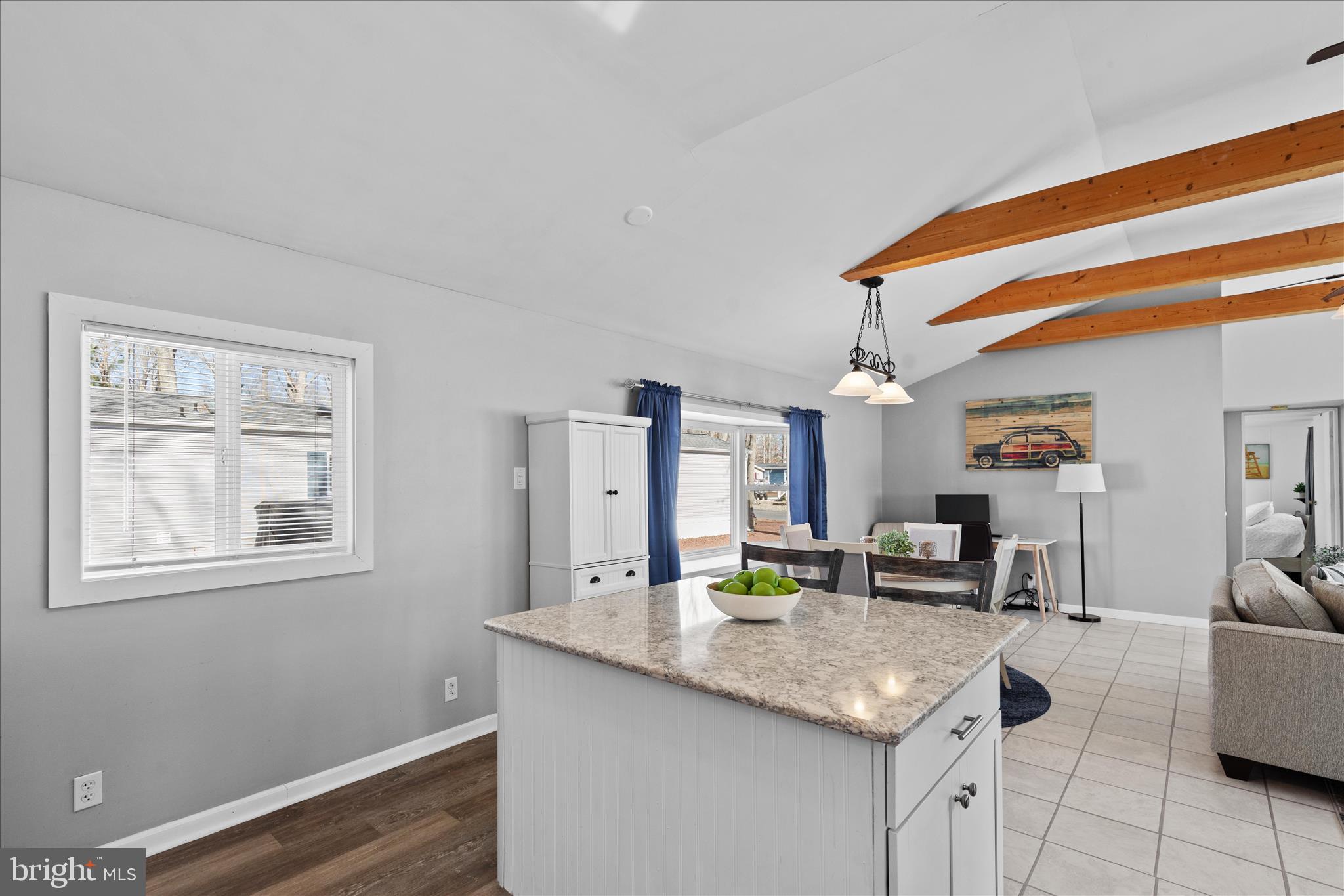 25760 Blue Ridge Street Millsboro, DE 19966 - Photo 20 of 64 Kitchen