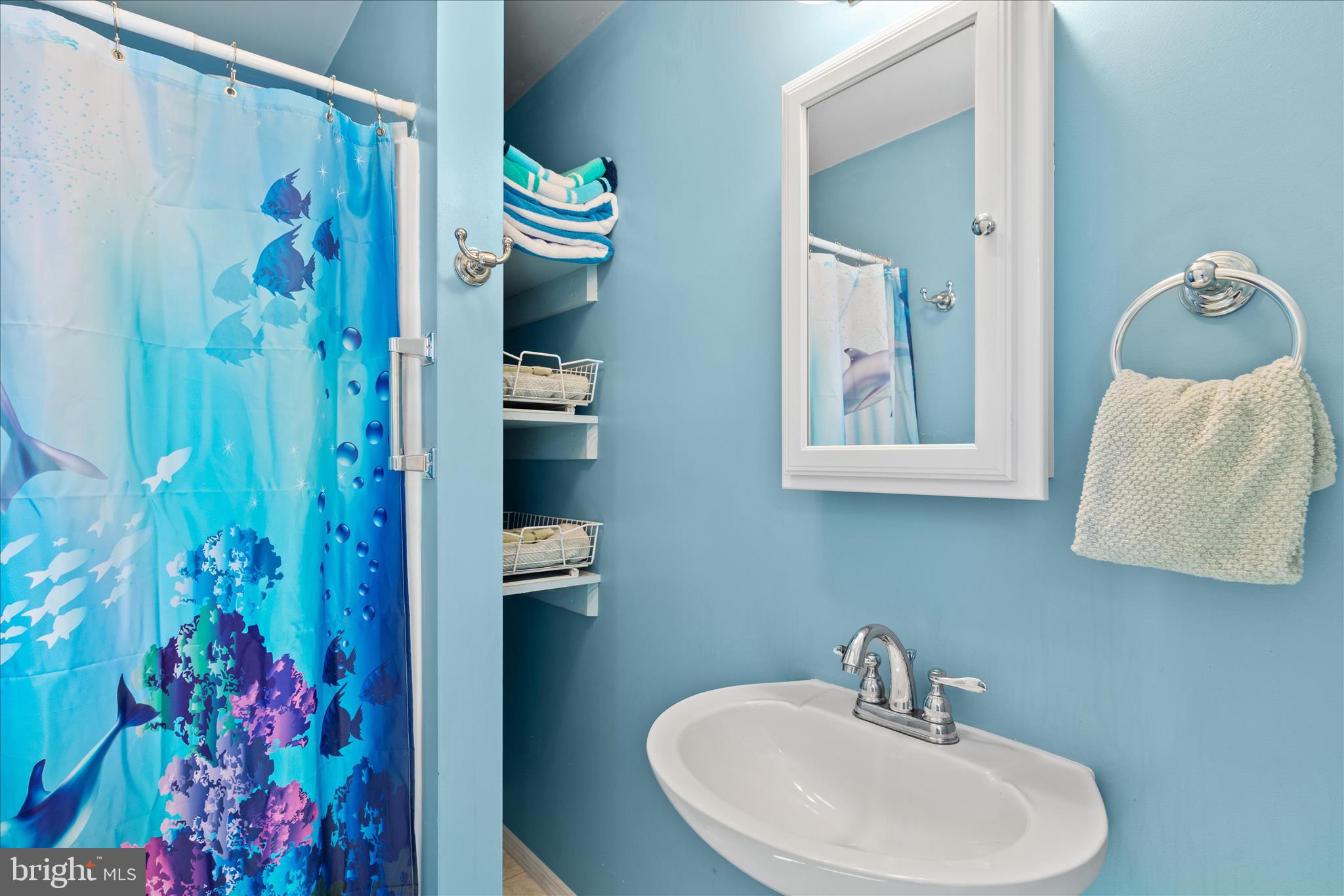 25760 Blue Ridge Street Millsboro, DE 19966 - Photo 8 of 64 a bathroom with a sink and mirror with toilet