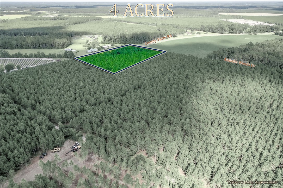 0 County Farm Road Blackshear, GA 31516 - Photo 2 of 10