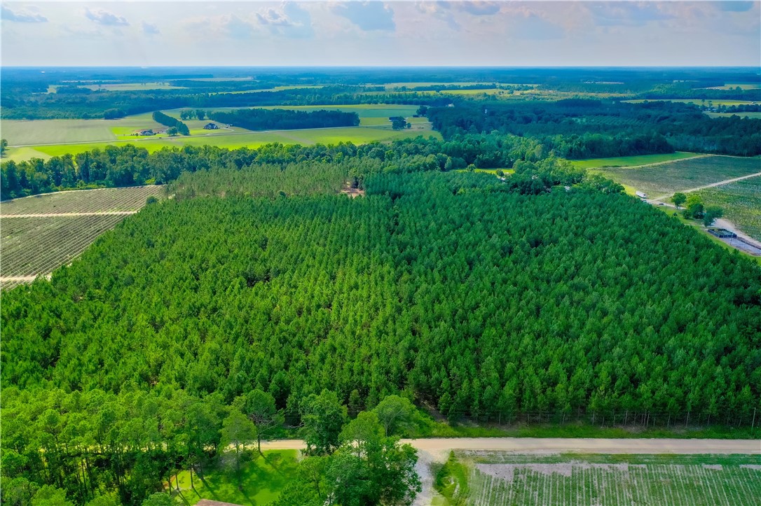0 County Farm Road Blackshear, GA 31516 - Photo 3 of 10