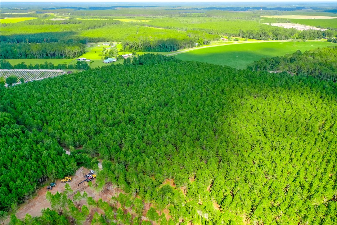 0 County Farm Road Blackshear, GA 31516 - Photo 4 of 10