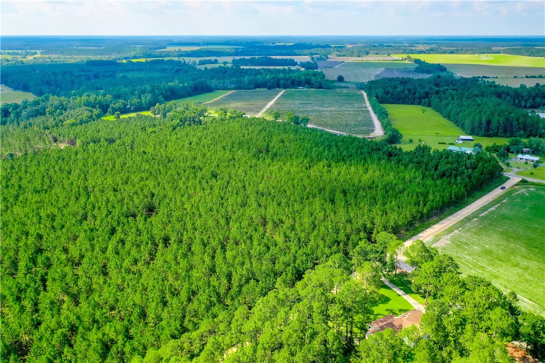 0 County Farm Road Blackshear, GA 31516 - Photo 6 of 10