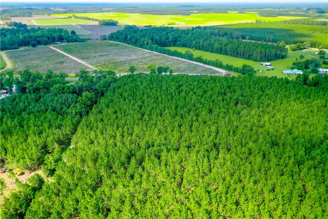 0 County Farm Road Blackshear, GA 31516 - Photo 8 of 10