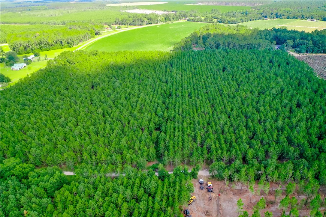 0 County Farm Road Blackshear, GA 31516 - Photo 9 of 10