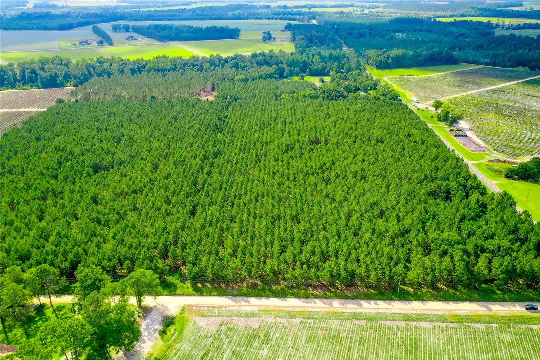 0 County Farm Road Blackshear, GA 31516 - Photo 10 of 10