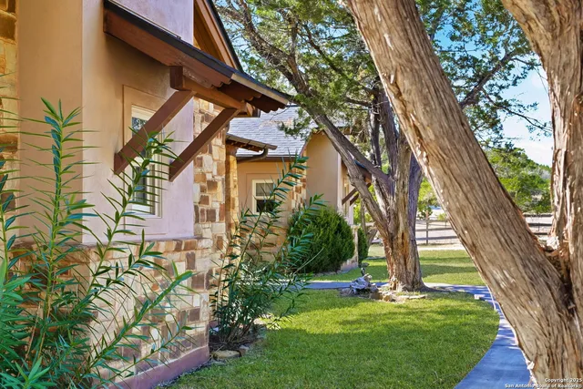 a garden with trees in front of it