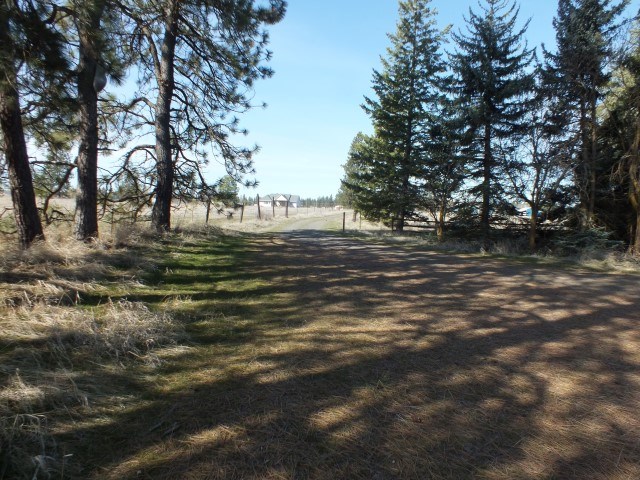 5723 South Assembly Road Spokane, WA 99224 - Photo 6 of 20