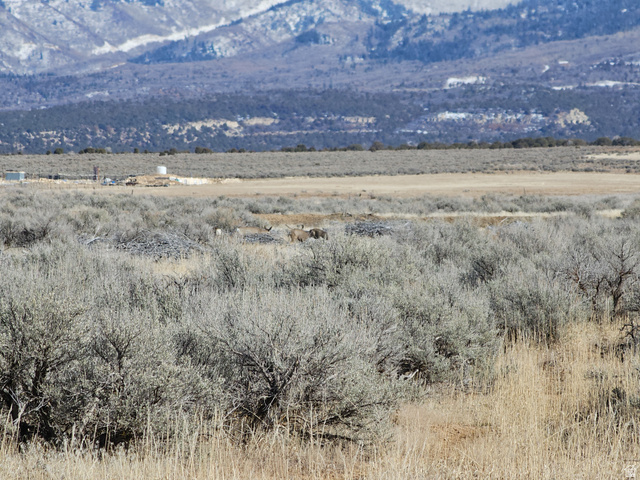 1350 St Spring Spring City, UT 84662 - Photo 20 of 29 Expansive landscape featuring distant snow-capped mountains and a prominent natural setting