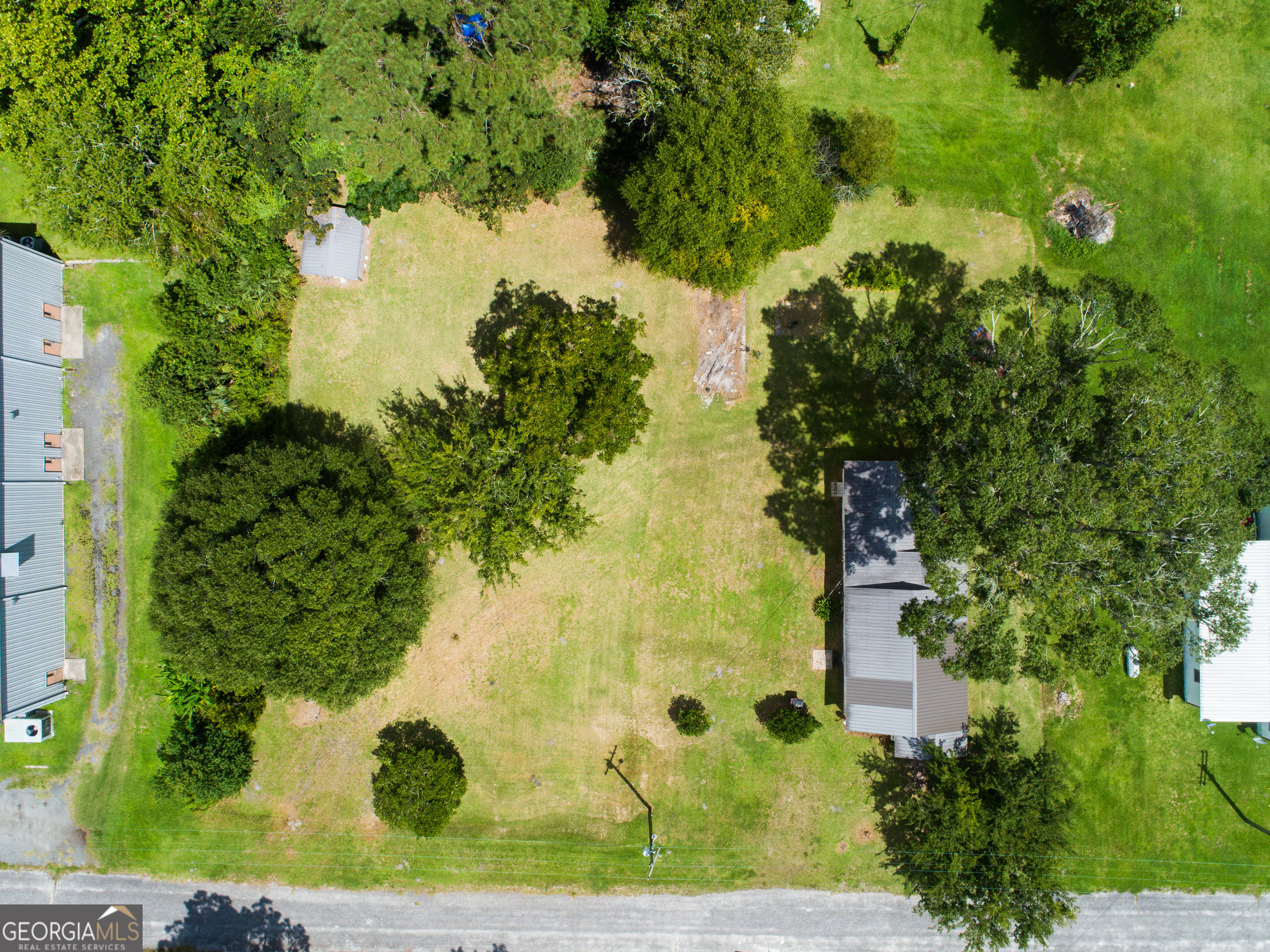 106 Nancy Avenue Fargo, GA 31631 - Photo 5 of 41 a view of a garden