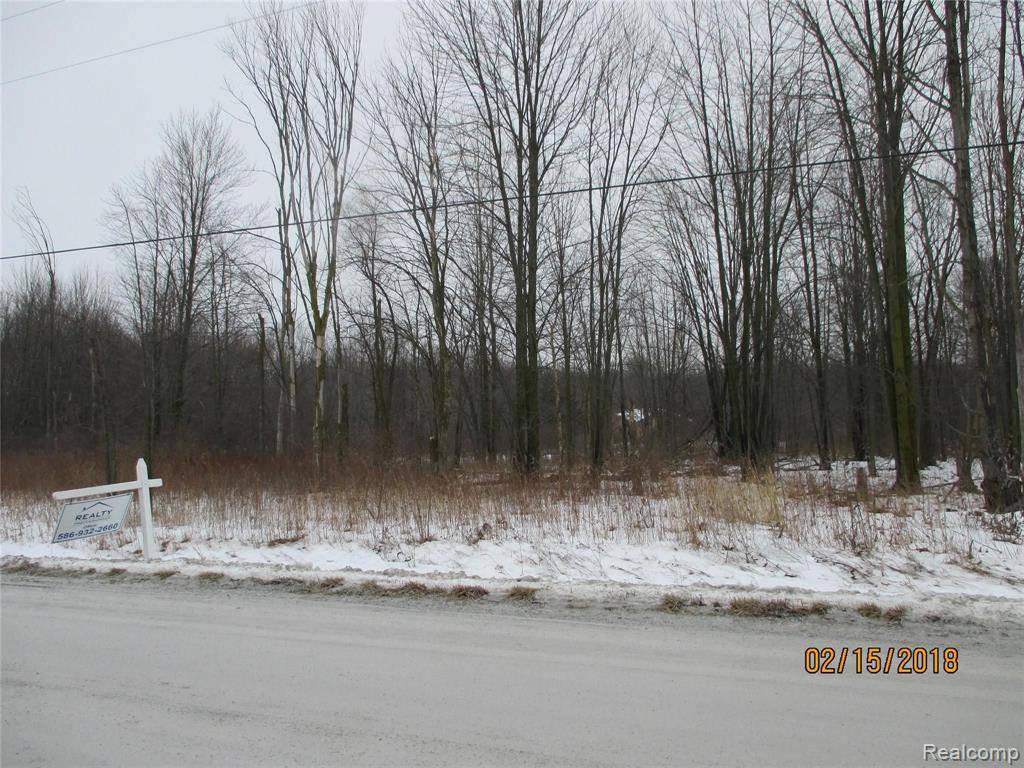 0 McKinley Road East China, MI 48054 - Photo 11 of 17