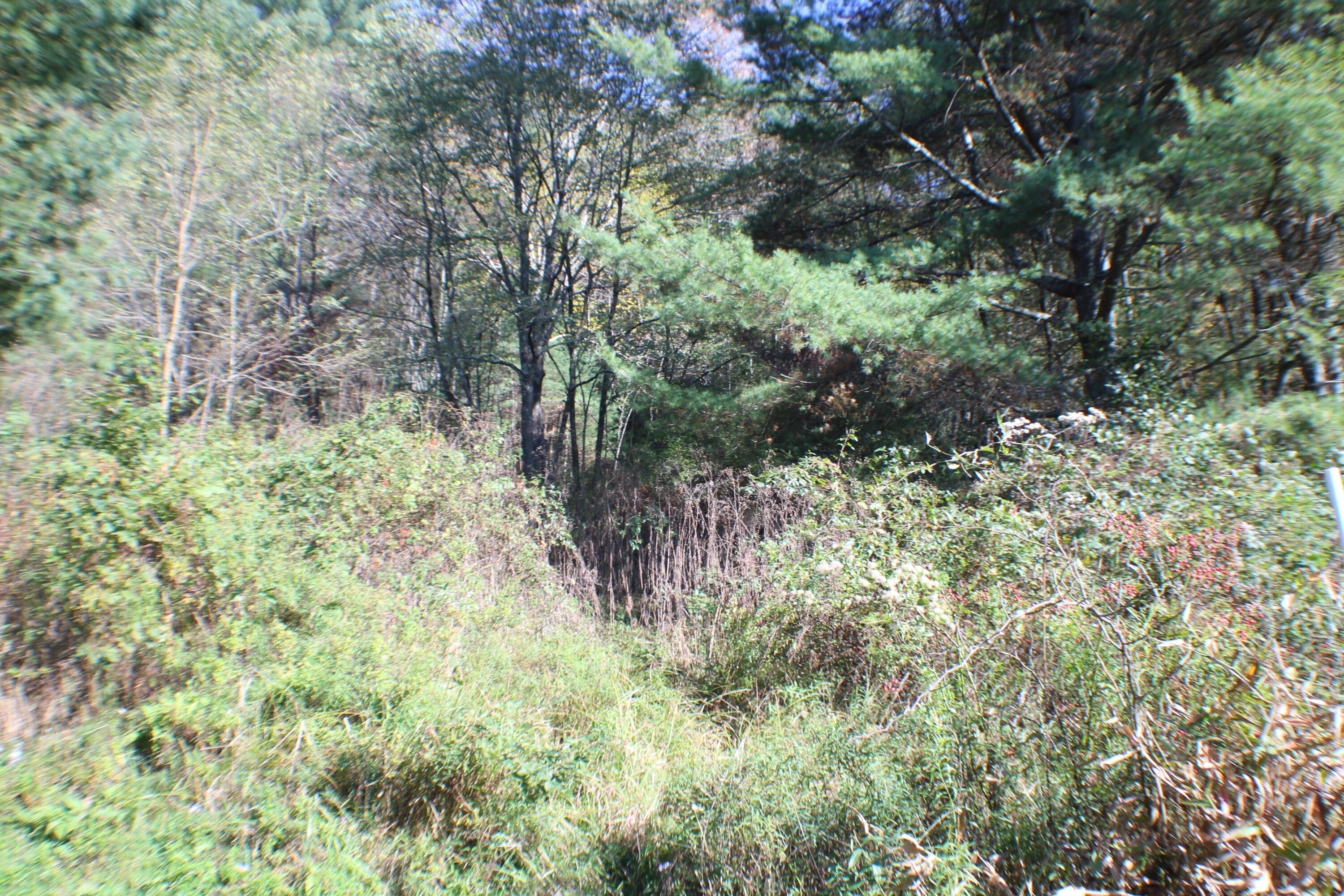 Hively Road Dunmore, WV 24934 - Photo 4 of 6 Gallery Image 4