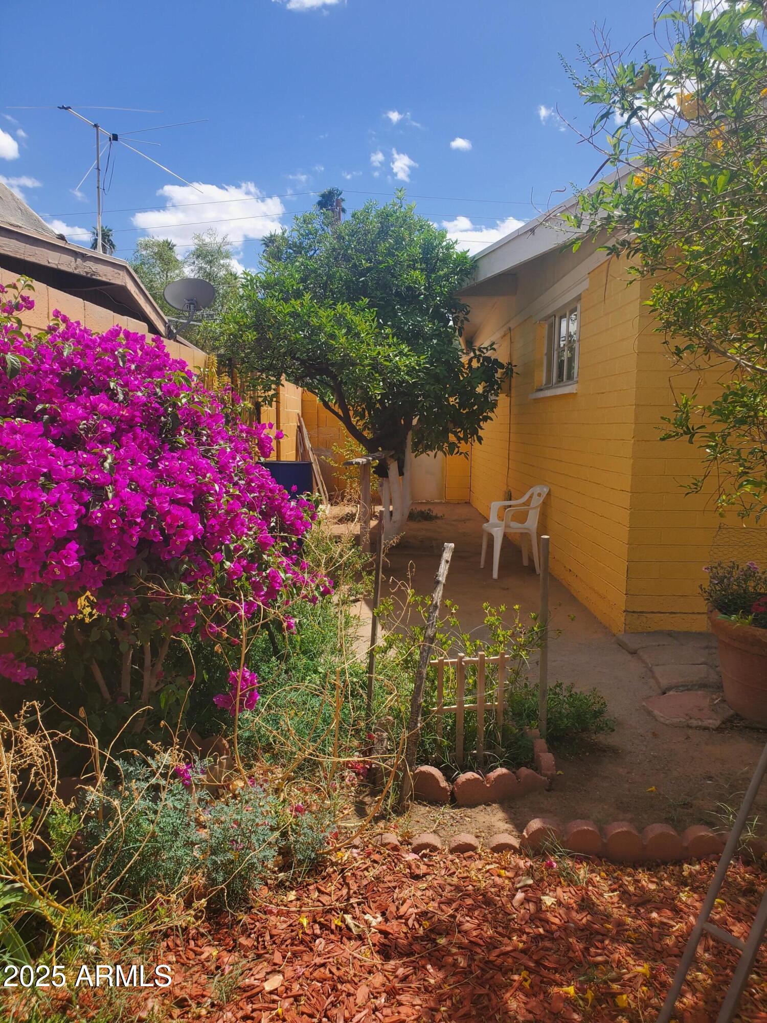 3041 East Osborn Road Phoenix, AZ 85016 - Photo 4 of 22 a backyard of a house with lots of green space
