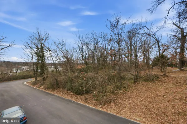 a view of a yard with a tree