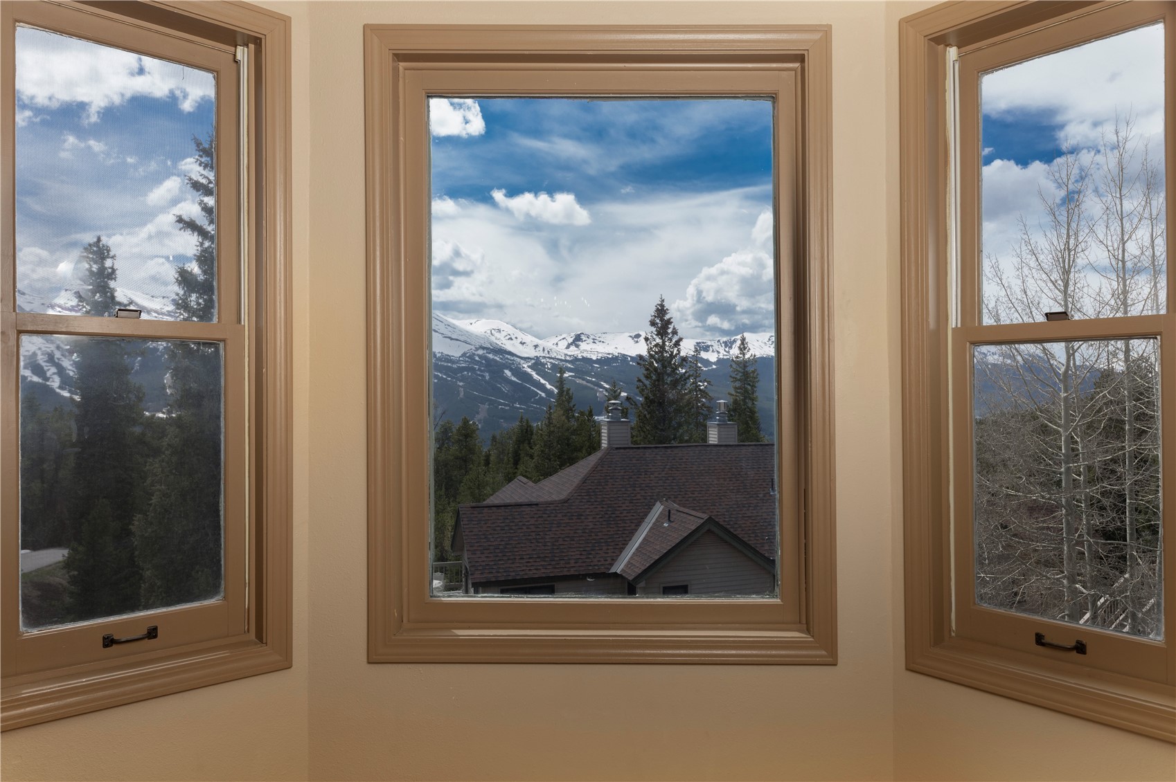 1120 Baldy Road, Unit 1120 Breckenridge, CO 80424 - Photo 7 of 38