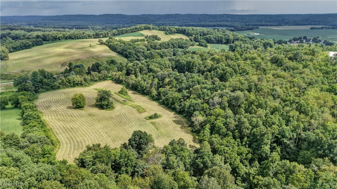 294 County Road Conesville, OH 43811 - Photo 10 of 39 Overview of rural landscape with abundant farmland and a heavily wooded area
