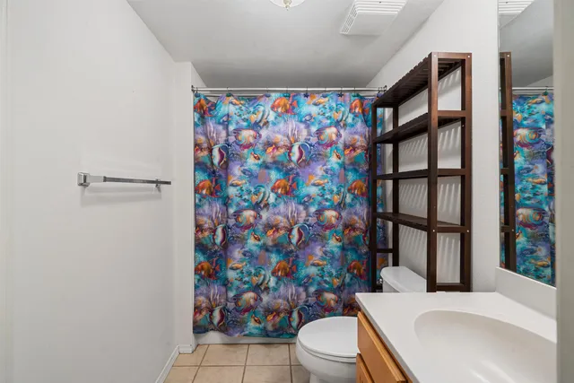 a white toilet sitting next to a shower curtain