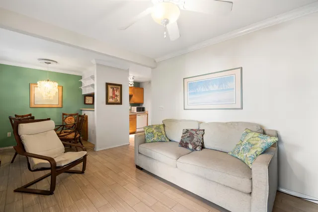 a living room with furniture and a potted plant on table