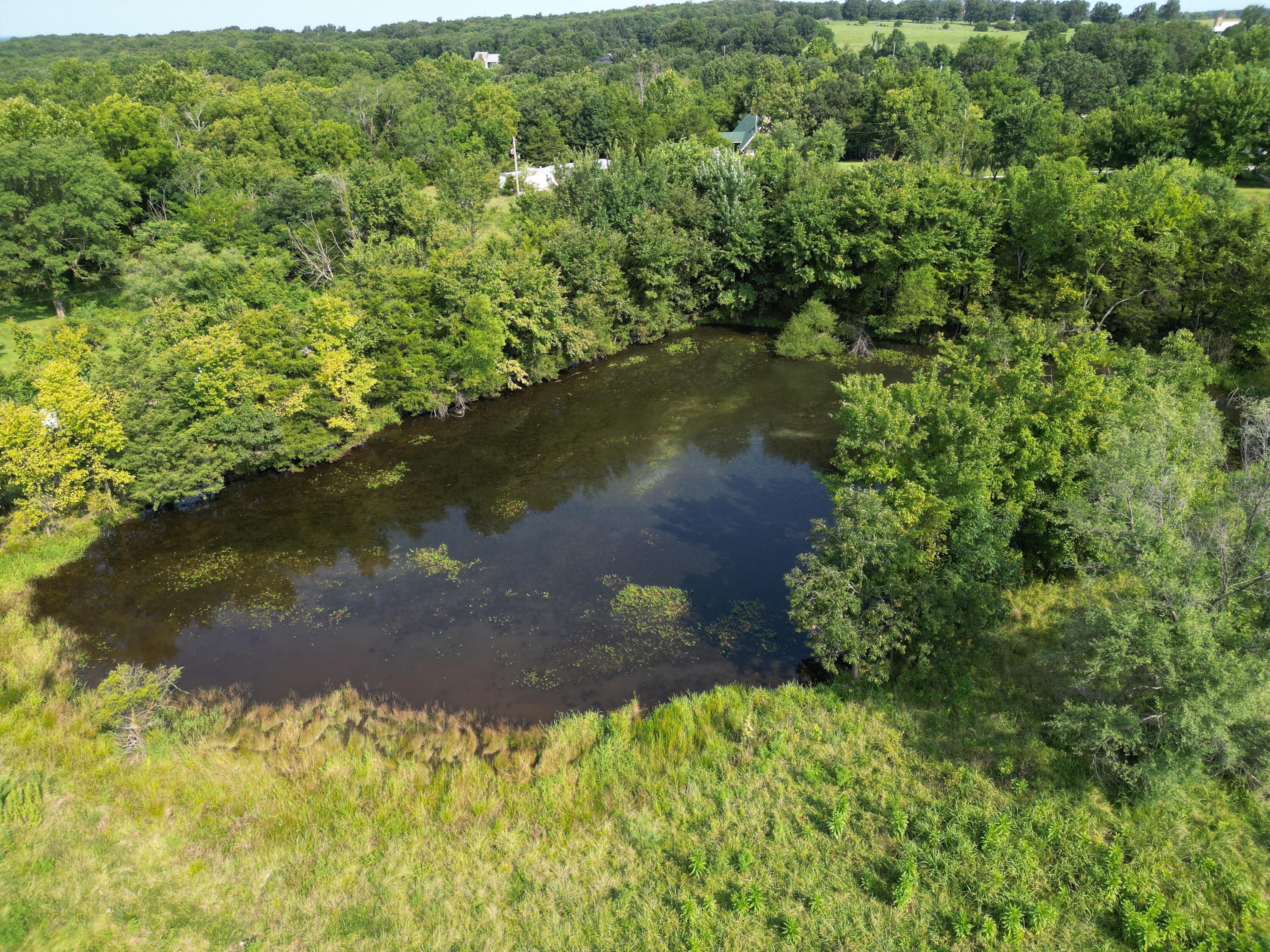 192 South Crossway Road Marshfield, MO 65706 - Photo 47 of 51 dji_fly_20260810_114846_285_178628827420