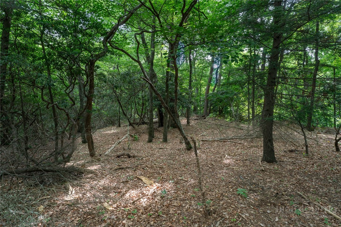 Lot 4 Old Orchard Road Lenoir, NC 28645 - Photo 8 of 23