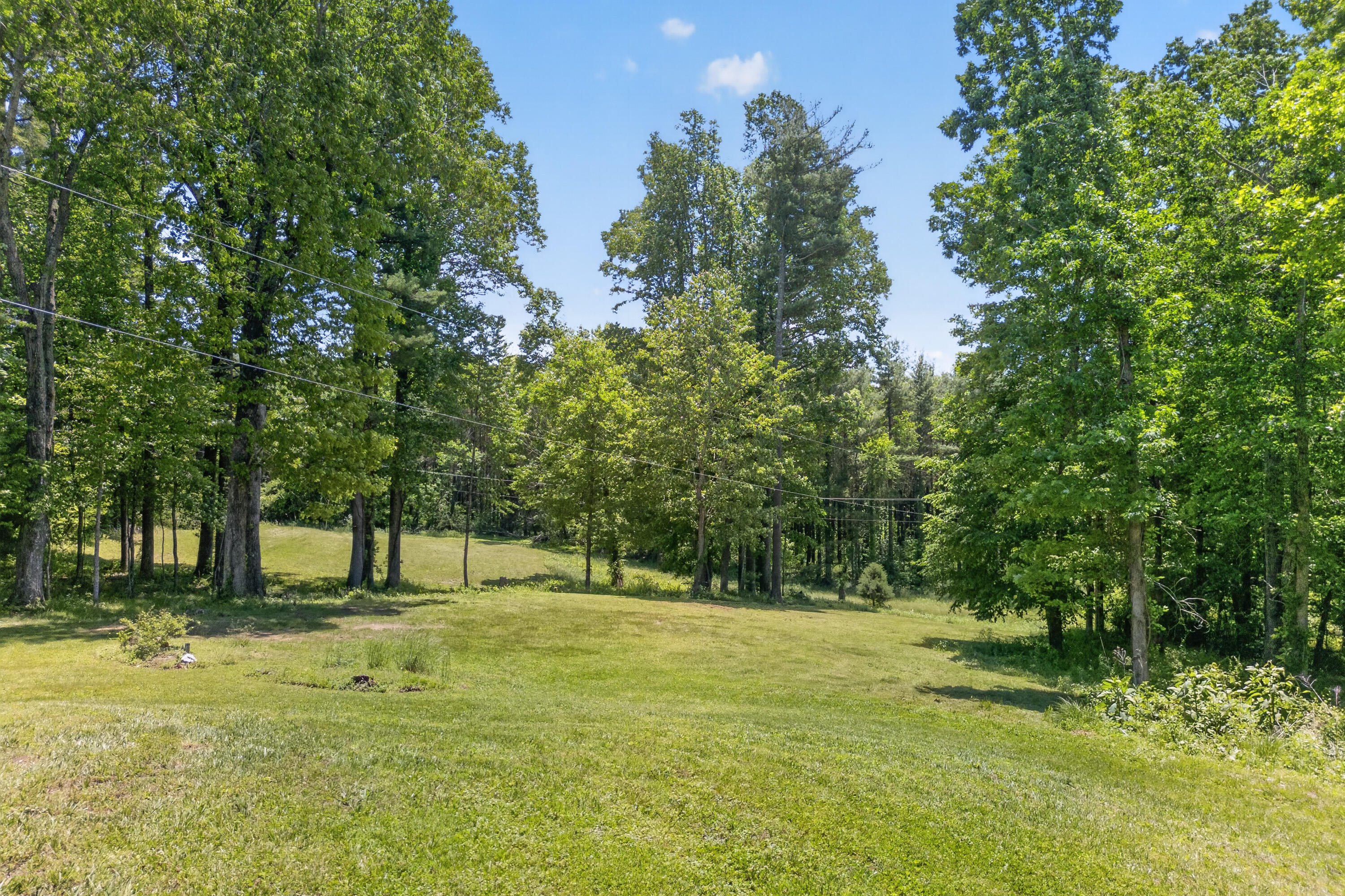 644 Daniels Run Road Northeast Copper Hill, VA 24079 - Photo 58 of 75 Copper Hill-72